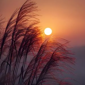 旅行阳光小曲