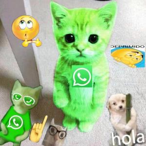 Pq no me has mandado uno wasap? :(