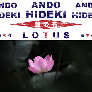 蓮の花 LOTUS