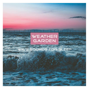 Camp Sounds at Night