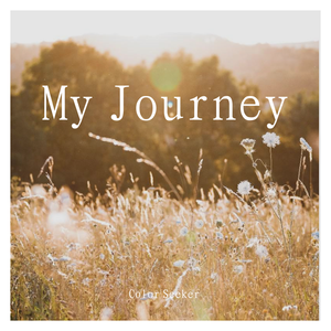 My Journey