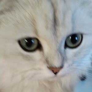 同手同脚（COVER.林宜融）