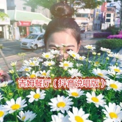 是想你的声音啊 (说唱版)