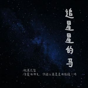 追星星的马