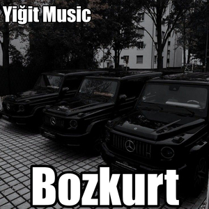 Bozkurt