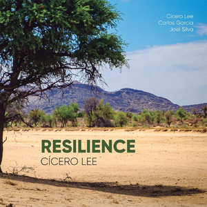 Not Too Late (feat. Carlos Garcia & Joel Silva)