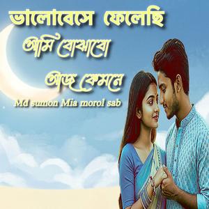 ভালোবেসে ফেলেছি