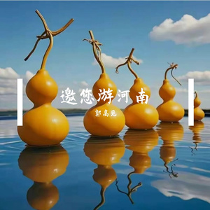 邀您游河南