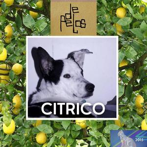 Cóctel