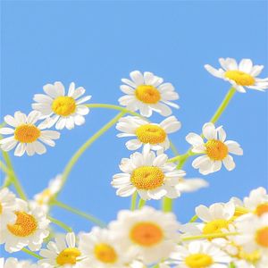 高效率专注学习舒缓纯音乐（钢琴曲）