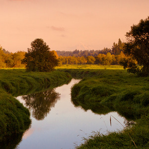 你已经是三十多岁的人了