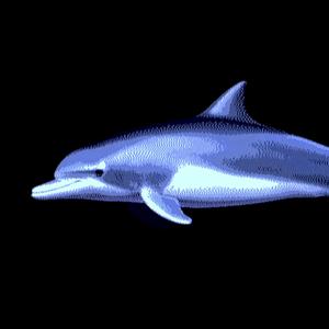 Retro Wave Swimmer