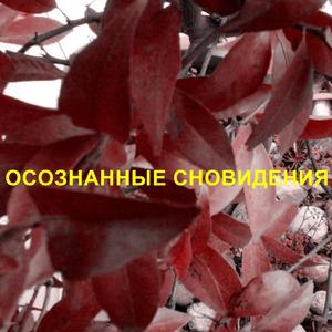 ?????????? ??????????