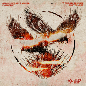 Flashpoint (HNGT Remix)