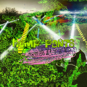 Hemp Pants