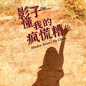 影子懂我的疯慌糟