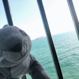 我们总是在寻找