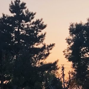 格式转换_寂寞的季节滴滴.mp3