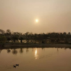 我在佛山饮醉酒 (修正版)(Remix)