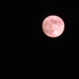 Flute In The Sky