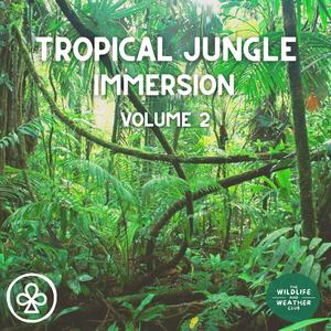 Tropical Jungle Atmospheres, Pt. 183