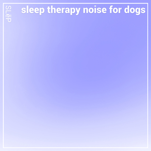 Sleep Therapy Noise for Dogs