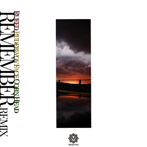 REMEMBER (feat. RUDEBWOY FACE & CORN HEAD) [Remix]