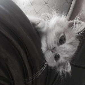 Một Bước Yêu Vạn Dặm Đau (1)