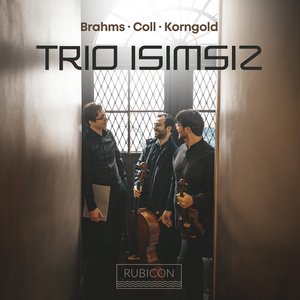 Piano Trio in D Major, Op. 1: I. Allegro non troppo, con espressione