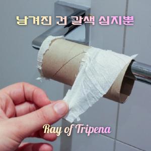 남겨진 건 갈색 심지뿐