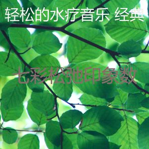诗意的颈部按摩节奏