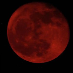 Blood Moon(Moon特别阴森版)