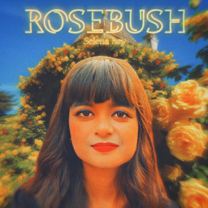 Rosebush