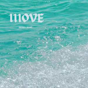 我爱你不止今天