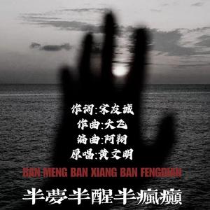 半梦半醒半疯癫