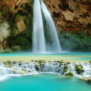 你看不出我爱你么