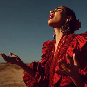 Que Me Toquen Palmas