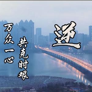 逆（无损）