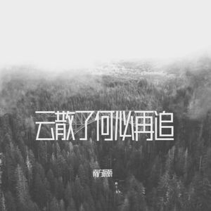 云散了何必再追