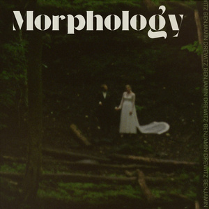 Morphology