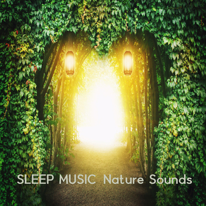 신비의 숲 (숲소리)