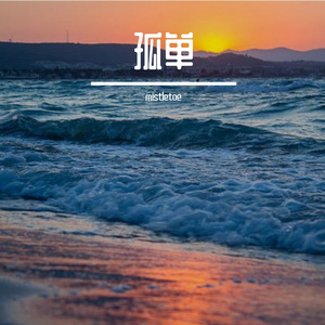 我想我会一直孤单