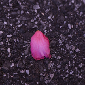 kakera (feat. UK & kuukai)