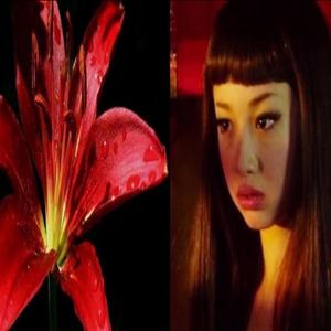 SAYIT (feat. Geekss)