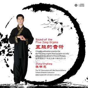 合和 · 脾脏养生乐