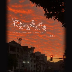 失去的总是太珍贵 (DJ版)