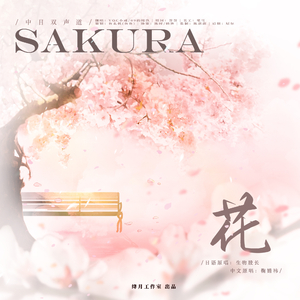 SAKURA花(中日双声道)