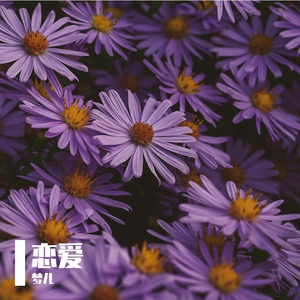无名 (2)