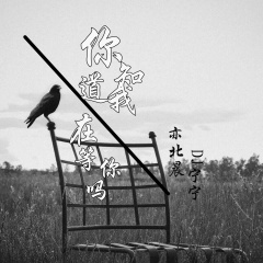 风没有方向的吹来 (纯音乐)