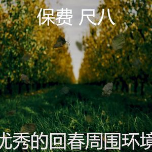 一尘不染冥想印象数